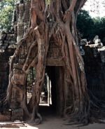 Angkor Vat 15