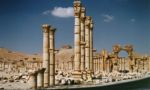 Palmyra 3