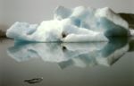 Jokulsarlon 2