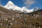 Pumori