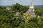 Tikal 3