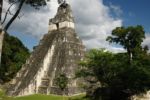 Tikal 5