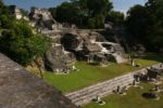 Tikal - pohled z jedné z pyramid