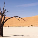 Sossusvlei 1