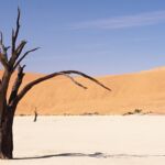 Sossusvlei 1