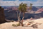 Grand Canyon 2