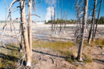 Yellowstone 1