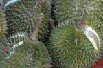 Durian
