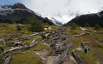 Cestou k Fitz Roy 2