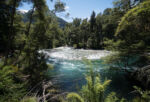 Národní park Los Alerces