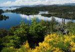 Národní park Nahuel Huapi 1 Národní park Nahuel Huapi 1