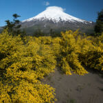 Sopka Osorno