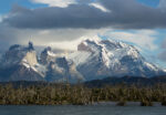 V parku Torres del Paine