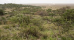 Krajina cestou k Serengeti