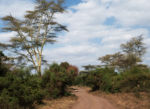 Národní park Lake Manyara Národní park Lake Manyara