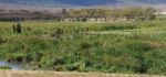 V kráteru Ngorongoro - vlhká část V kráteru Ngorongoro - vlhká část