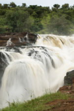Murchison Falls 2