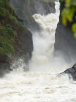 Murchison Falls 3