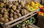 Durian, papája a další