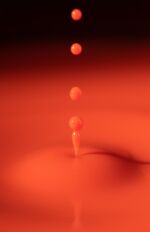 Experiment 38