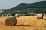 Pálava_01 - na kopci hrad Děvičky Pálava_01 - na kopci hrad Děvičky